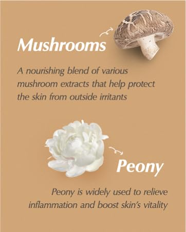 manyo Bifida Ampoule Mist 120ml / 4.0 fl. oz.